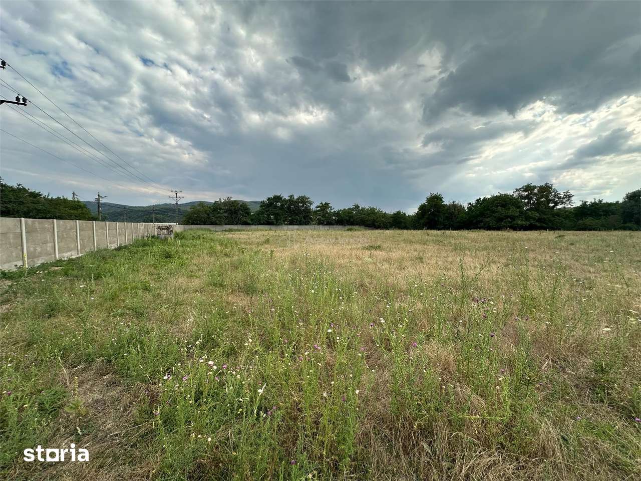 Bocsa Romana, De Inchiriat, Teren Intravilan 8.500mp, strada principal - Imagine principală: 3/13