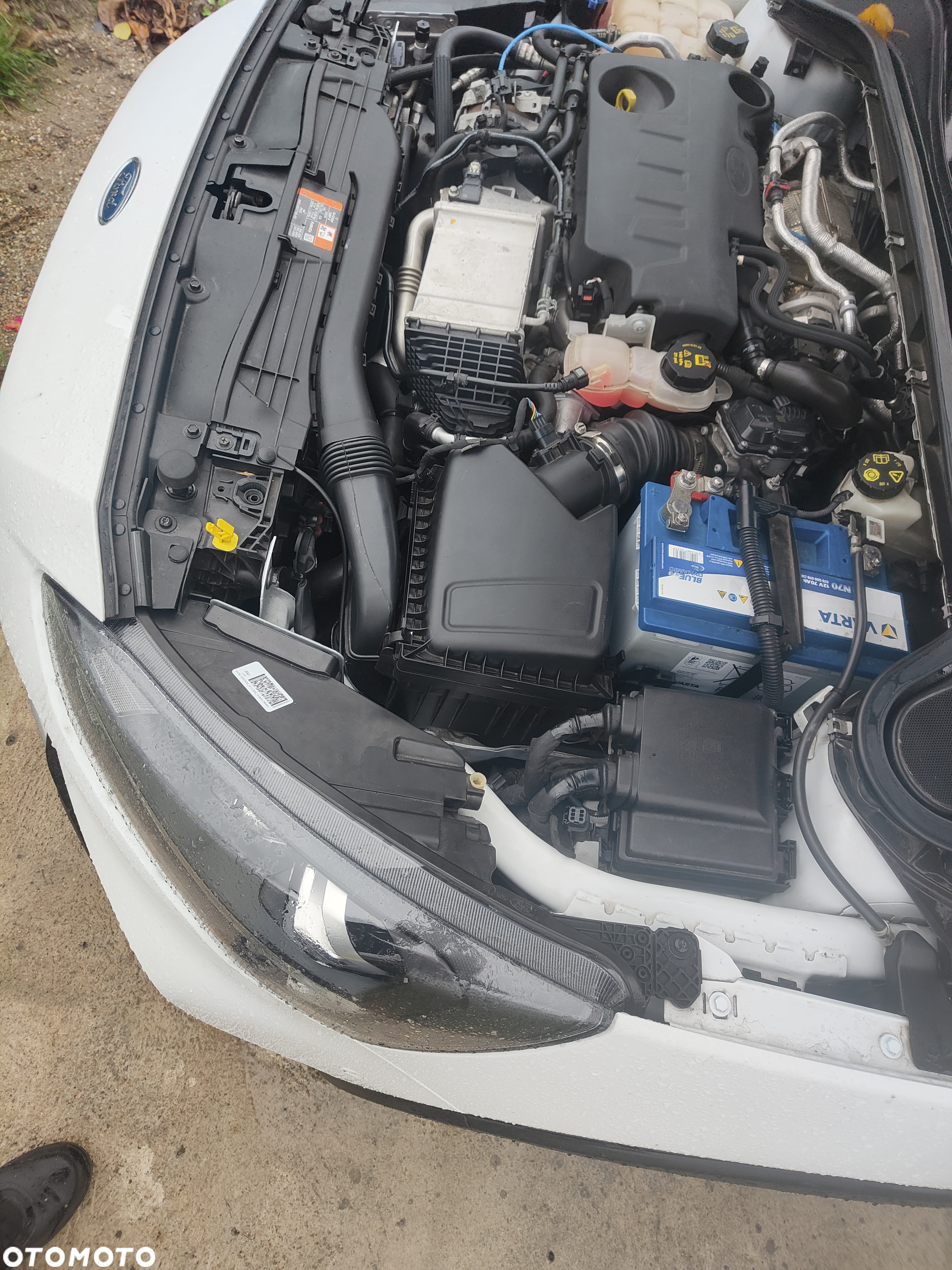 Ford Focus 2.0 EcoBlue Active Business - 19