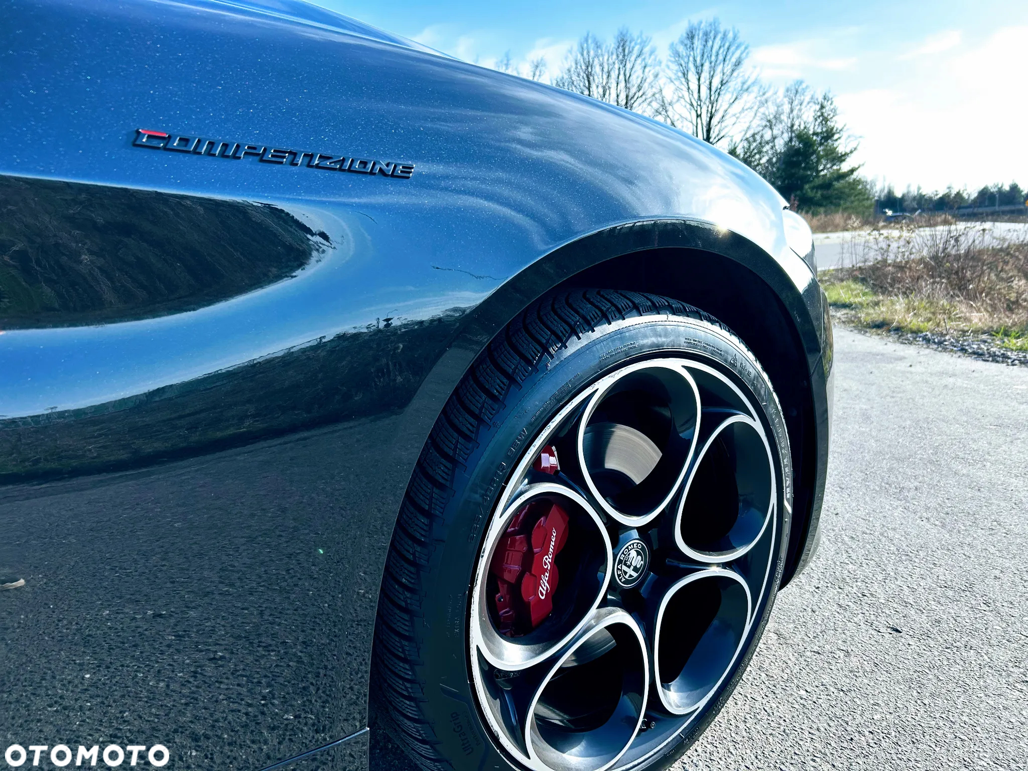 Alfa Romeo Giulia 2.0 Turbo Competizione Q4 - 3