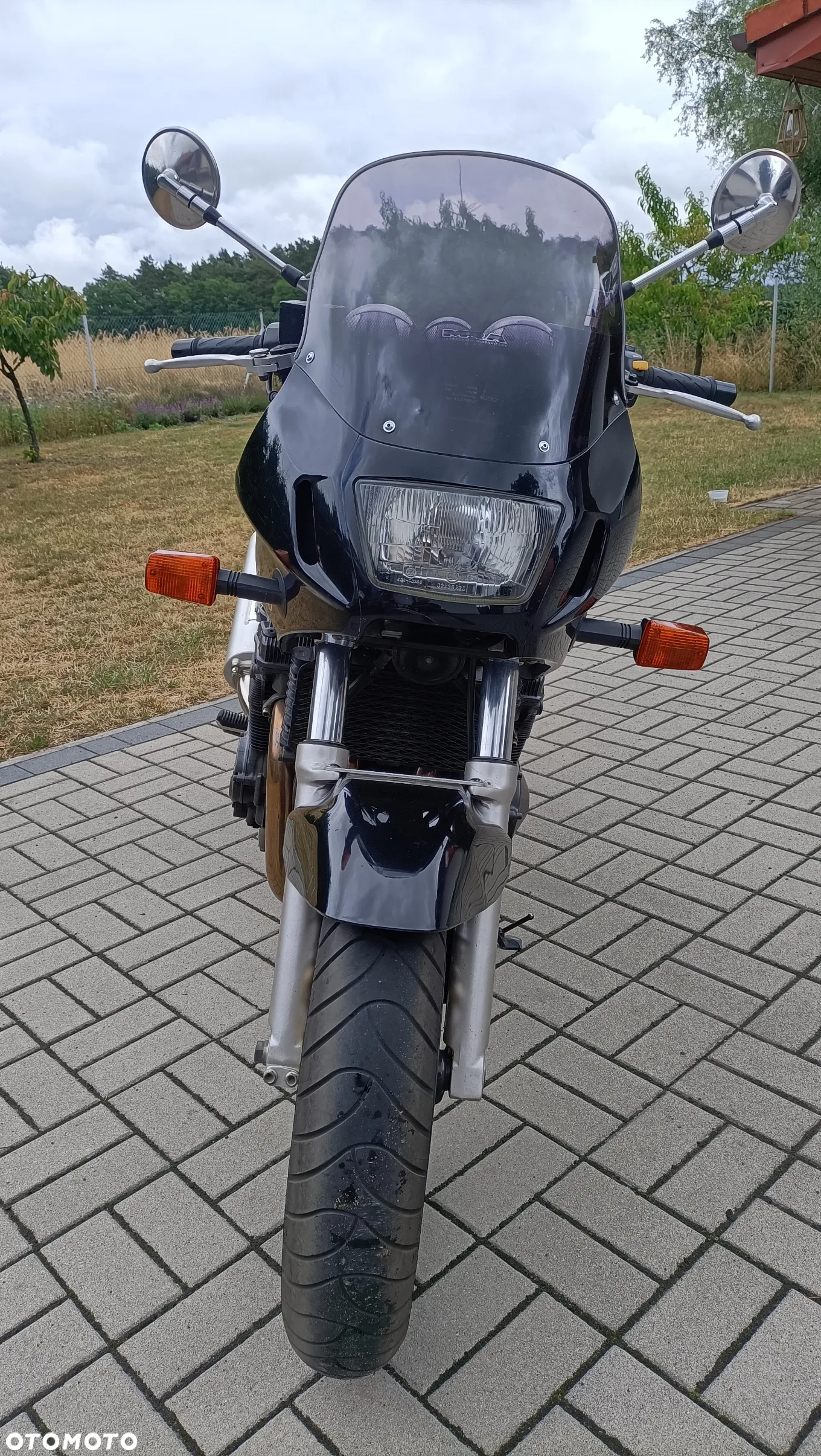 Suzuki Bandit - 4