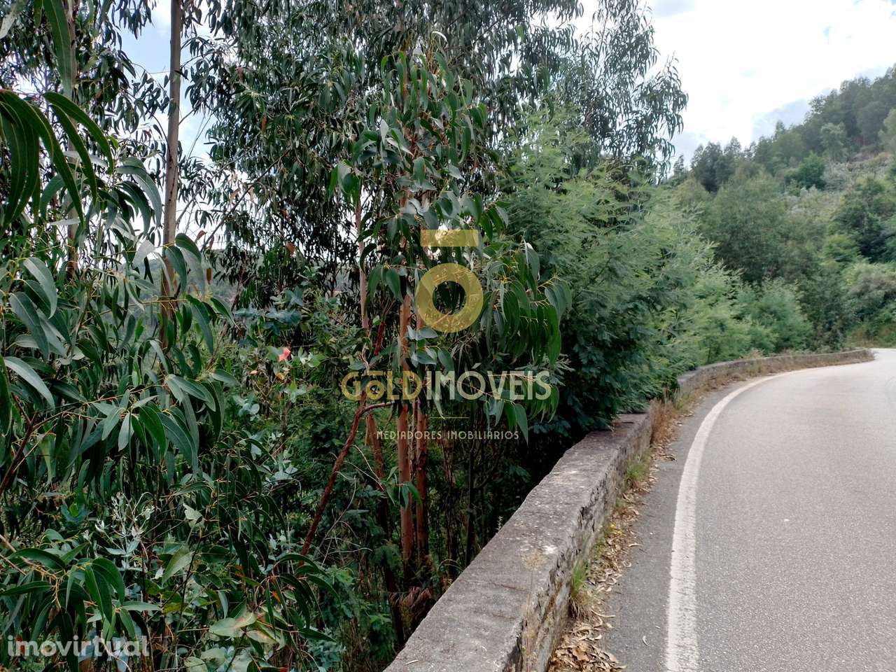 Terreno Rústico  Venda em Raiva, Pedorido e Paraíso,Castelo de Paiva - Grande imagem: 5/6