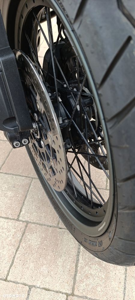 Triumph Tiger - 19