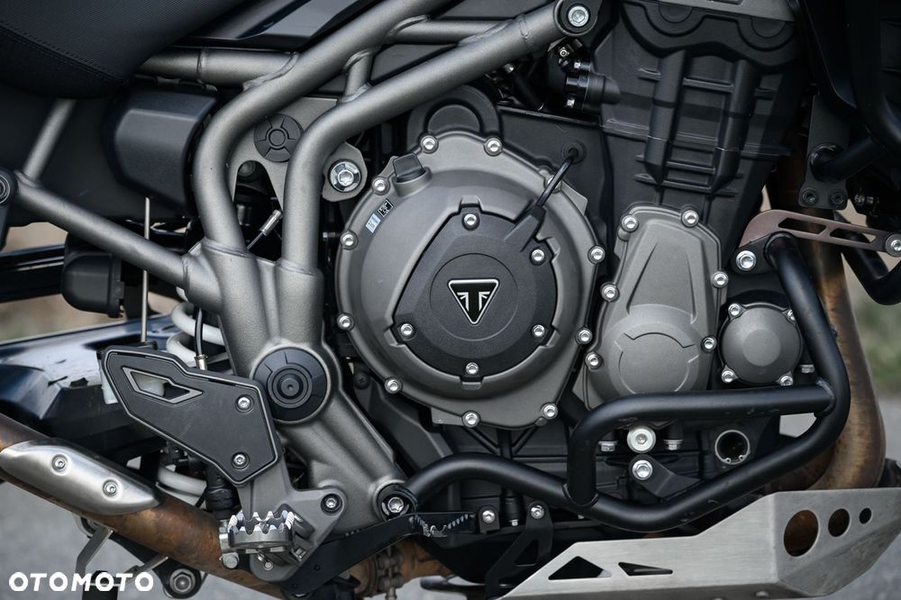 Triumph Tiger - 21