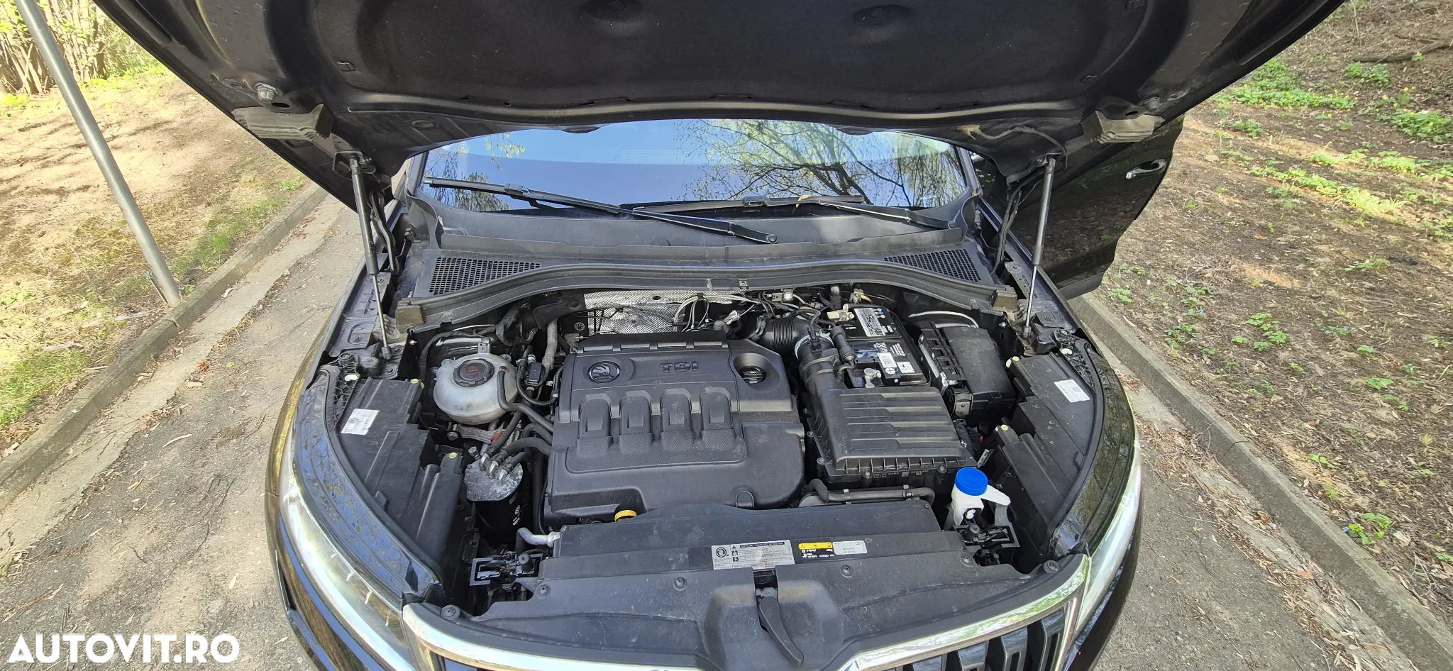 Skoda Kodiaq 2.0 TDI 4X4 DSG Drive 125 - 39