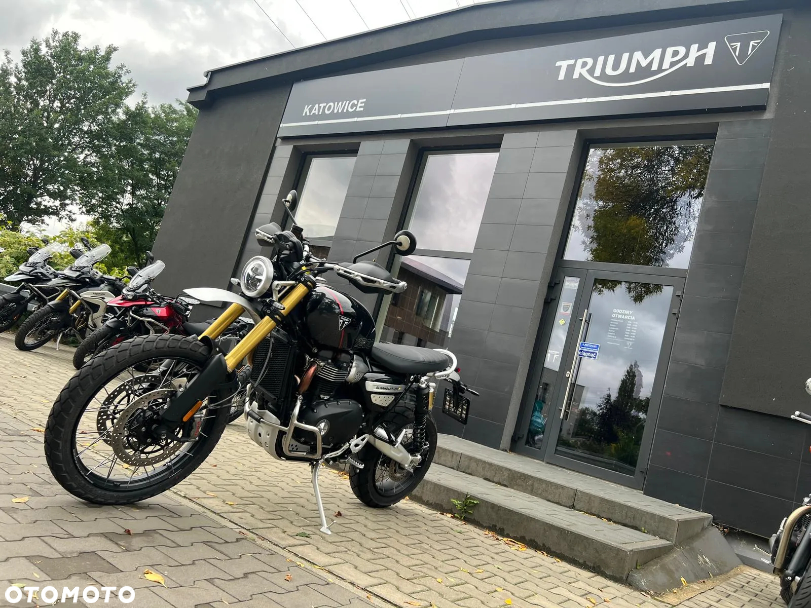 Triumph Scrambler - 7