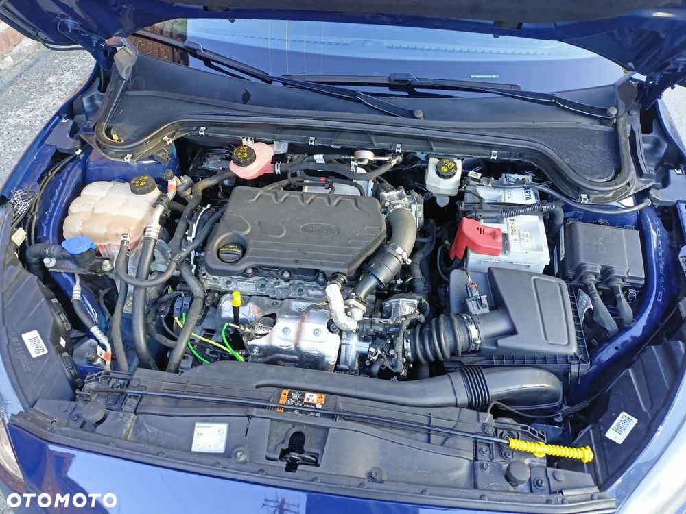 Ford Focus - 17