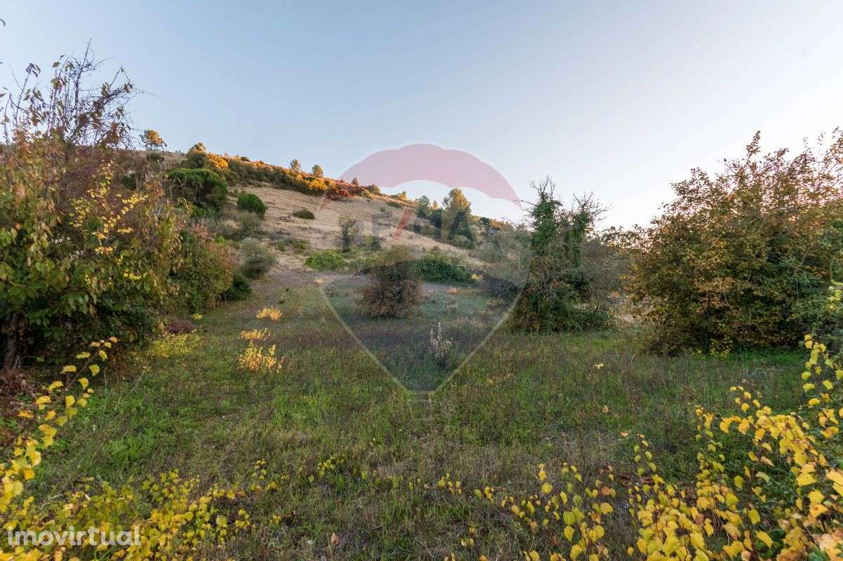 Terreno  para venda - Grande imagem: 2/9