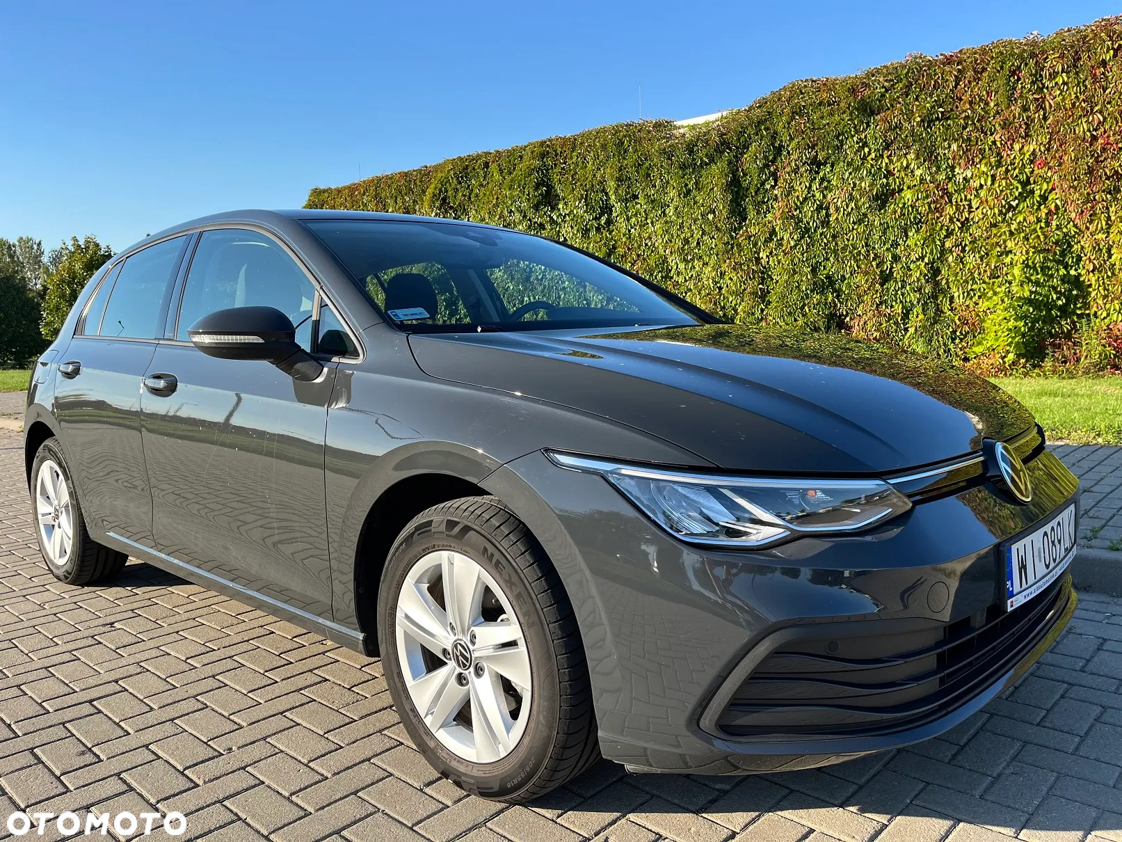 Volkswagen Golf - 32