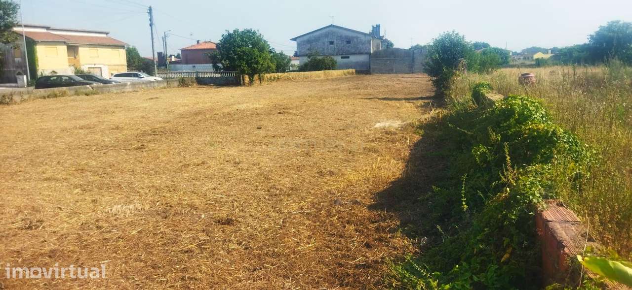 Terreno Rústico em Oliveira do Bairro - Grande imagem: 4/10