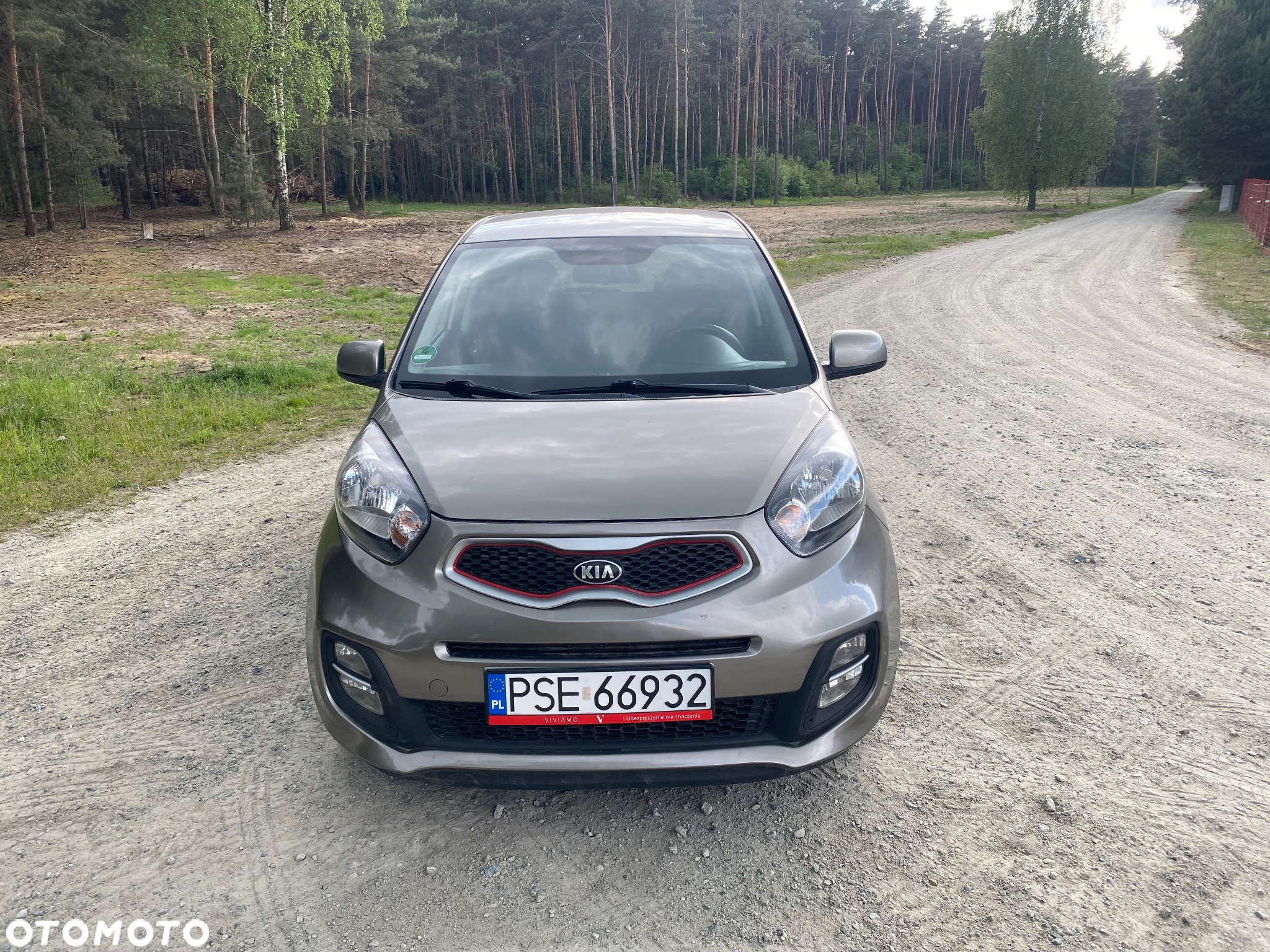 Kia Picanto 1.0 Dream Team Edition - 7
