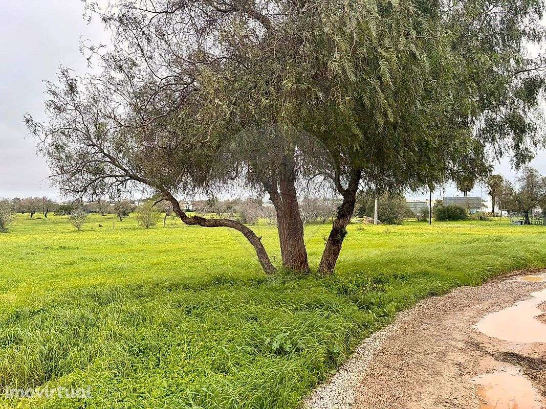 Terreno  para arrendamento - Grande imagem: 2/9