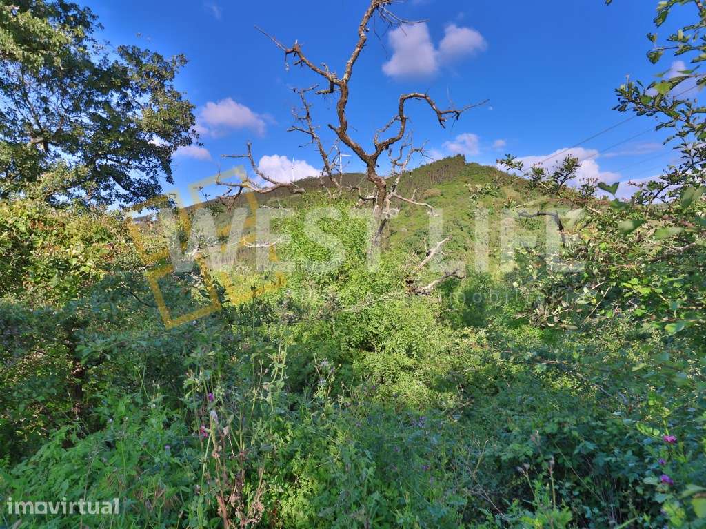 Terreno Rústico com 15560m2 - Natural e Pinhal - EXCLUSIVO WL - Mafra. - Grande imagem: 2/18