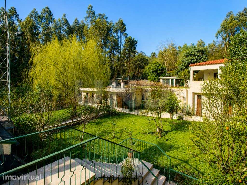 Propriedade com 23.000 m2, moradia principal e casa independente - ... - Grande imagem: 3/43