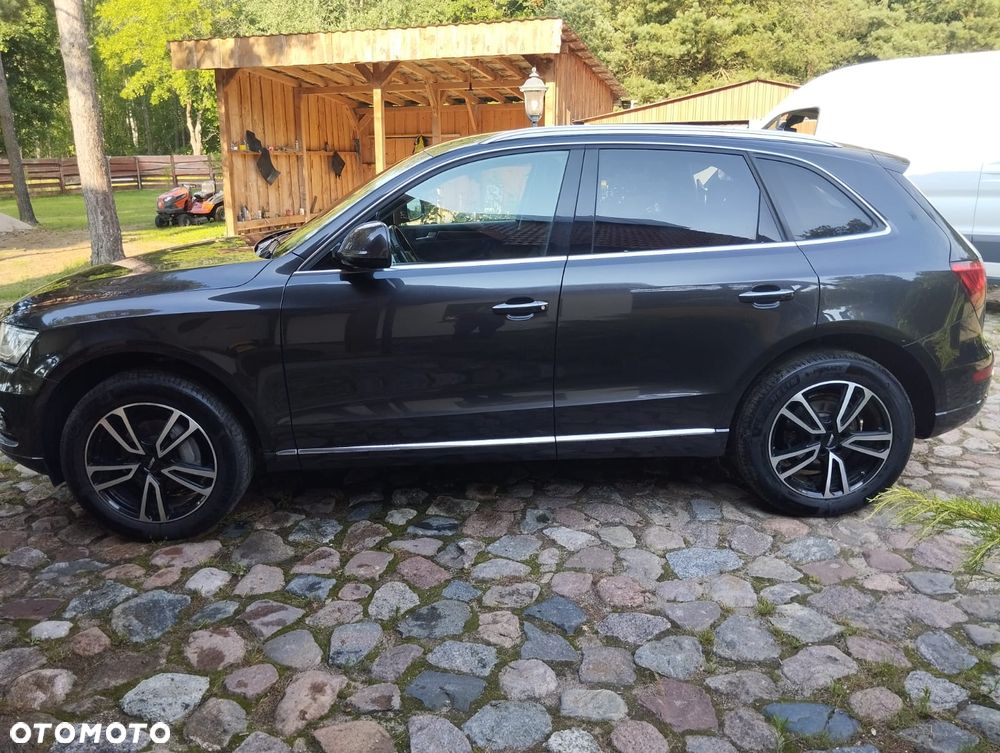 Audi Q5 2.0 TDI clean diesel Quattro S tronic - 3