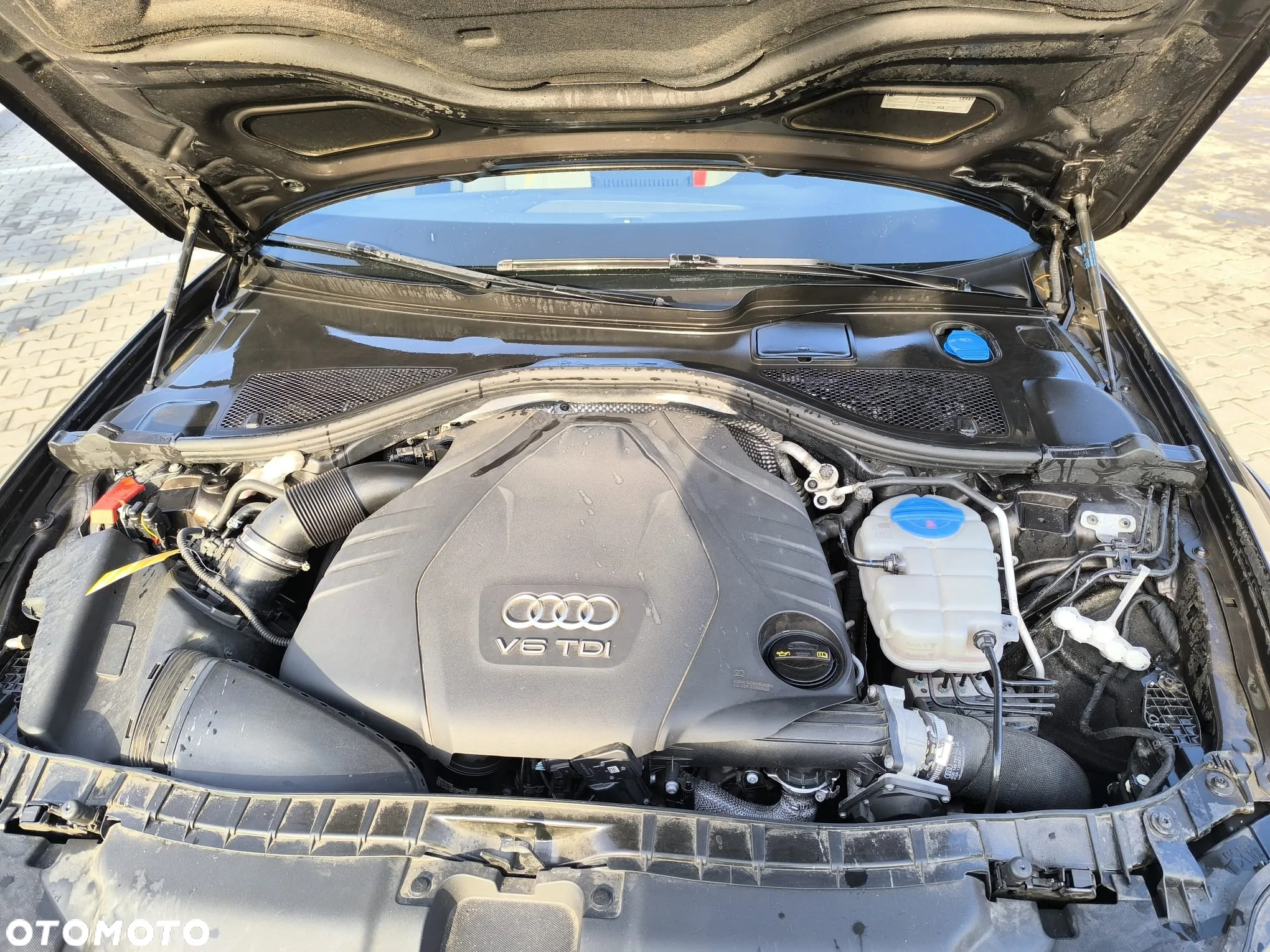 Audi A6 Allroad 3.0 TDI clean diesel Quattro S tronic - 16
