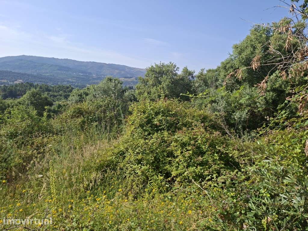 Terreno Agrícola - Telhado / Fundão - 50.000 m² (5 ha) - Grande imagem: 5/10