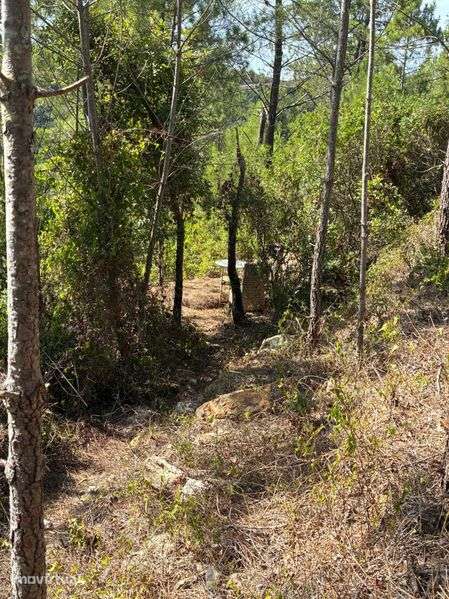 Terreno 20000M2, Paul, Mafra - Grande imagem: 5/12