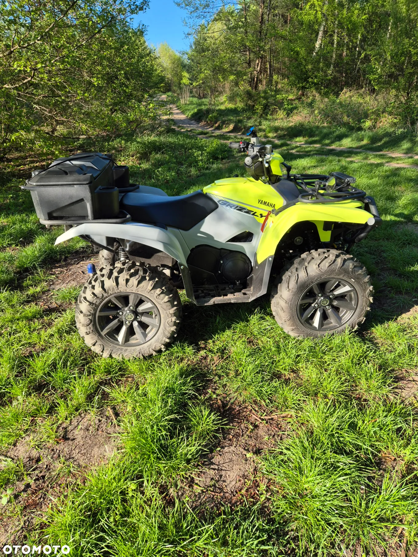 Yamaha Grizzly