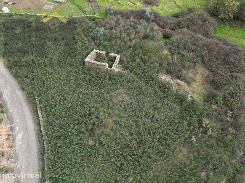 Quinta com 17.200m2 para venda em Juncal do Campo! - Grande imagem: 4/9