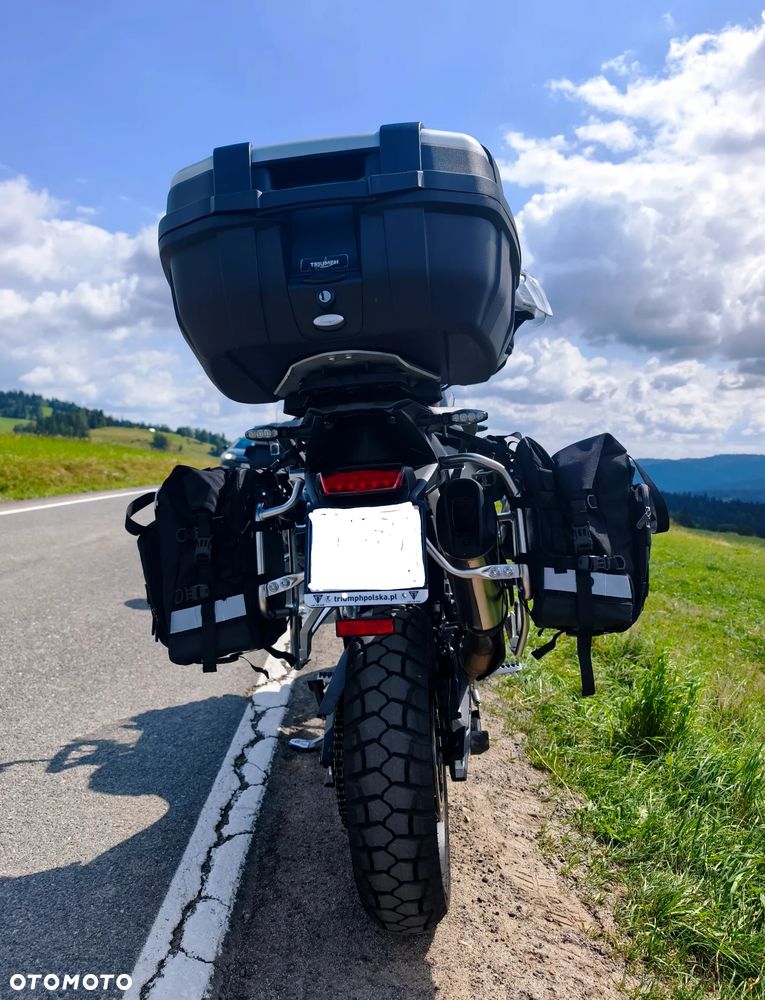 Triumph Tiger - 4