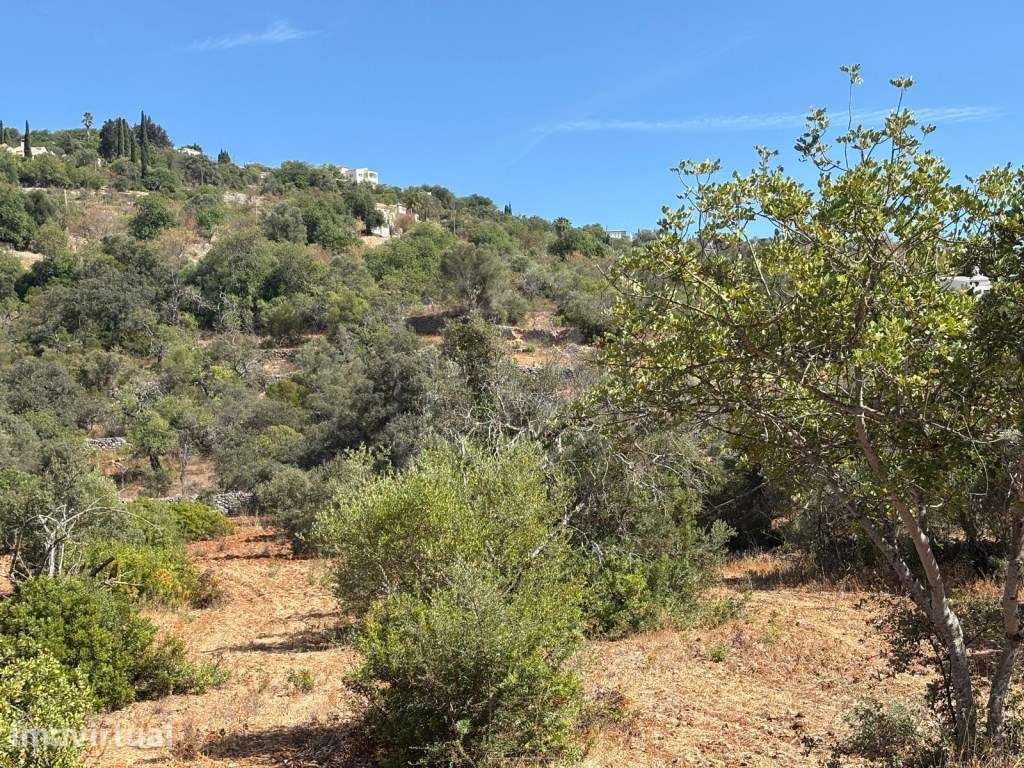Terreno Agrícola com 7.120 m² em Loulé, Algarve - Grande imagem: 2/12