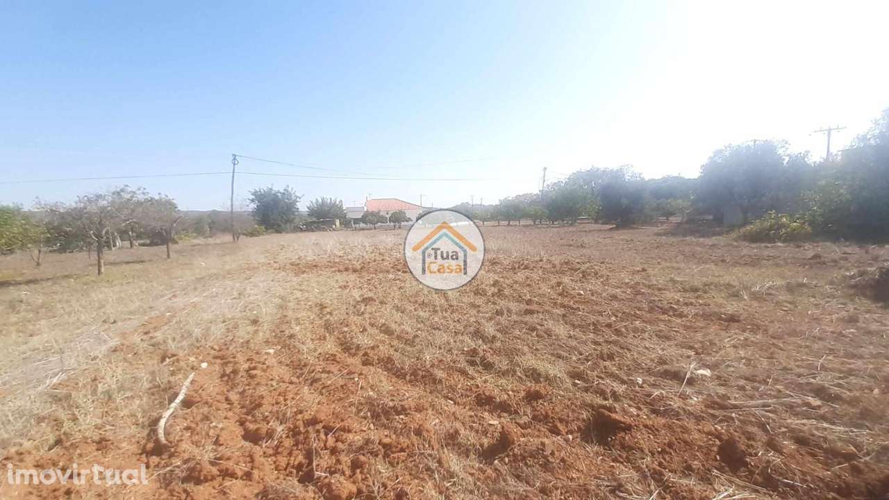 Terreno Rústico na Periferia de São Brás de Alportel - Grande imagem: 5/15