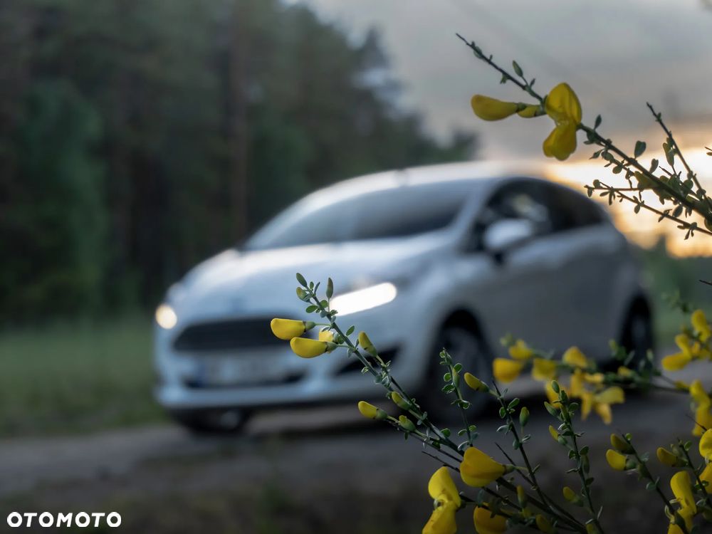 Ford Fiesta 1.25 Celebration - 34
