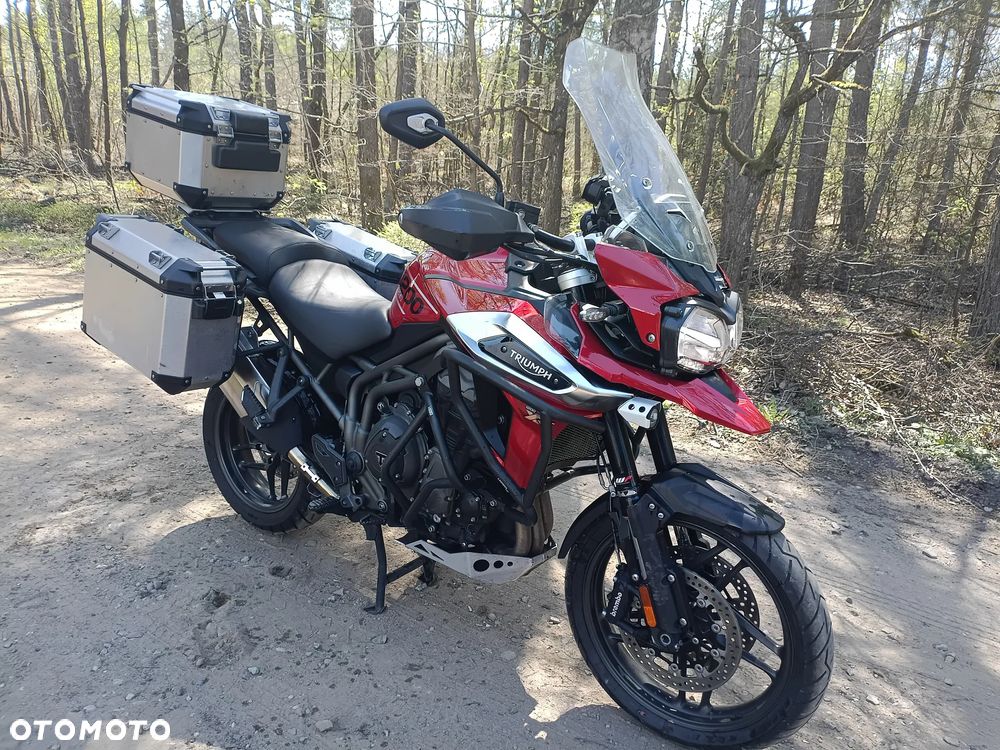 Triumph Tiger - 17