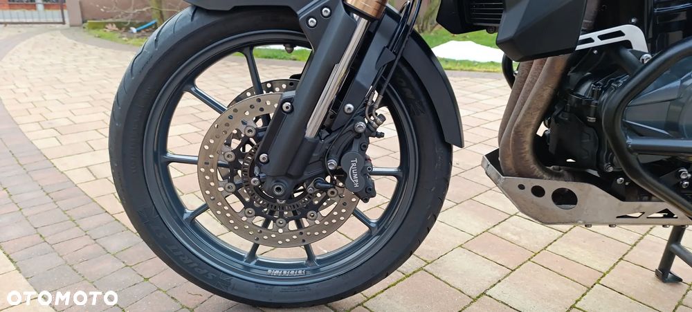 Triumph Tiger - 37