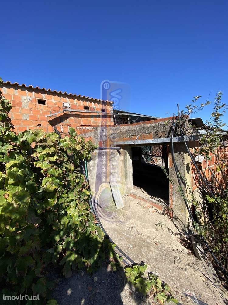 Armazém com Terreno em Brotas (MOR078) - Grande imagem: 5/15