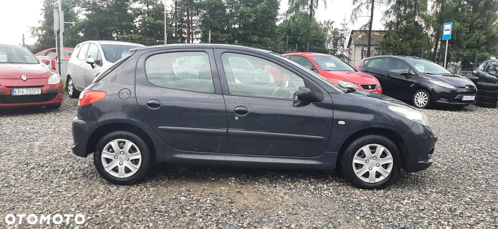Peugeot 206 plus - 18