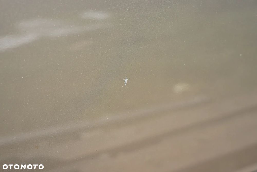 Drzwi przód przednie prawe Nissan Qashqai I J10 C30G - 5