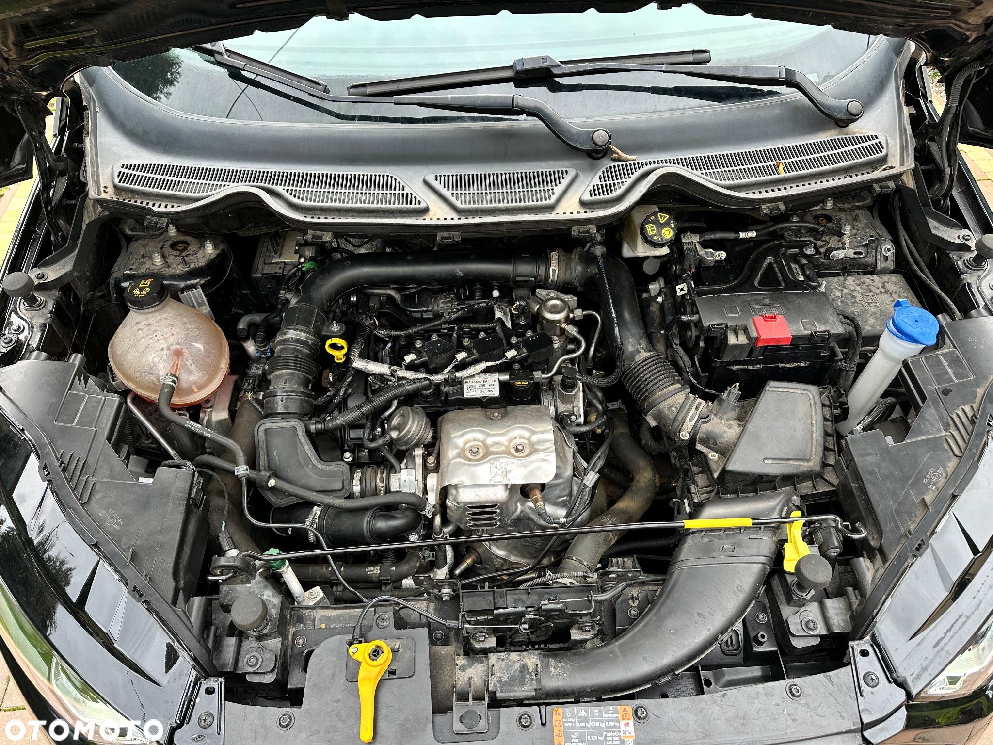 Ford EcoSport 1.0 EcoBoost ST-LINE - 16