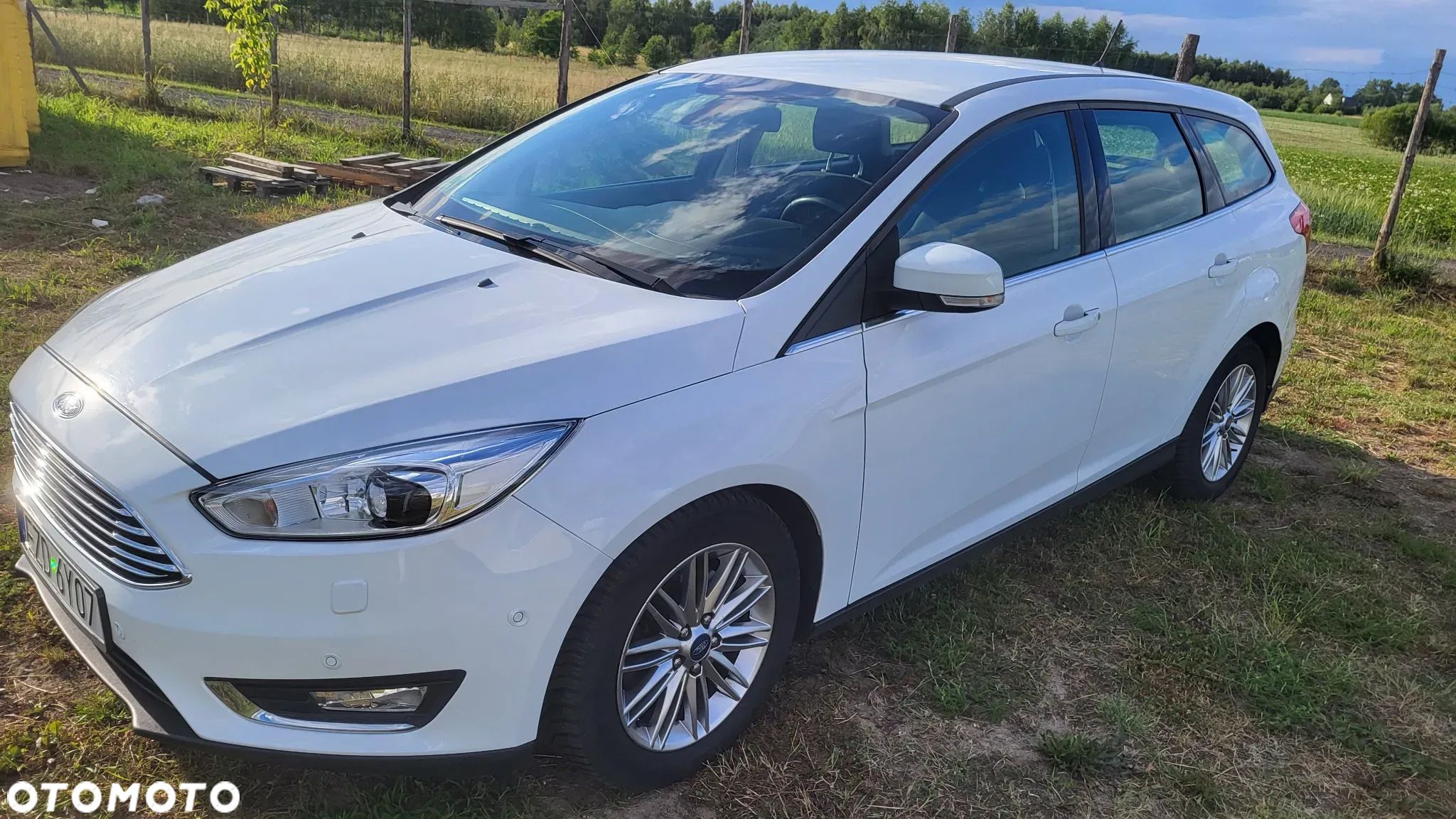 Ford Focus 2.0 TDCi Titanium ASS - 1