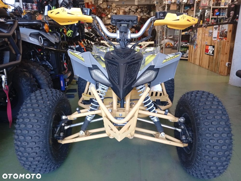 Barton Raptor - 9