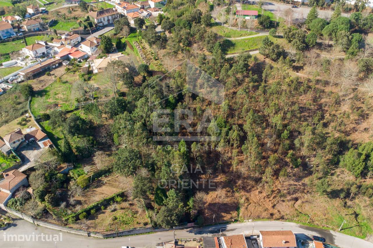Terreno 1500 m² em Sanguedo - Grande imagem: 4/10