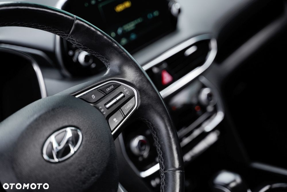 Hyundai Santa Fe - 21