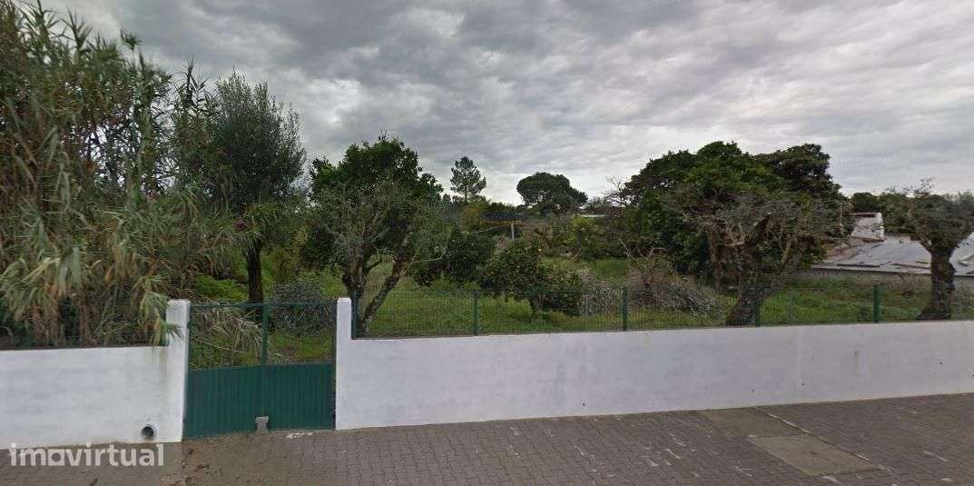 Quinta com 9788m2 de Terreno em Coruche - Grande imagem: 5/9