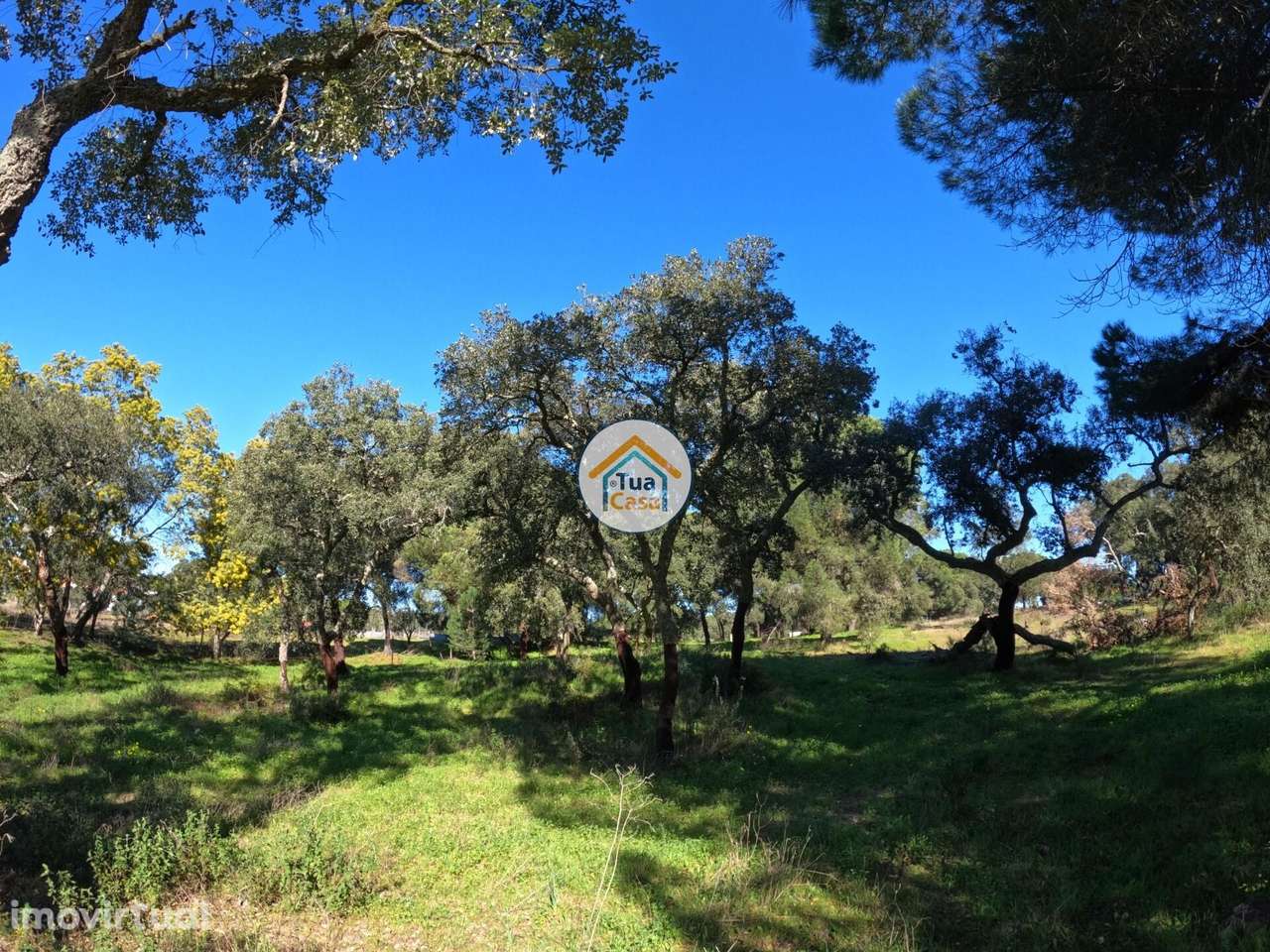 Terreno Rústico de 1,75 ha com Montado de Sobreiros – Oportunidade no - Grande imagem: 5/16