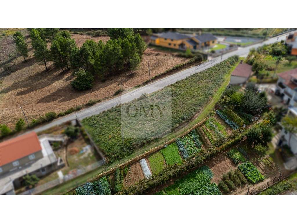 Terreno de 1250m2 em Vila Nova de Cima, Folhadela, Vila Real - Grande imagem: 3/9
