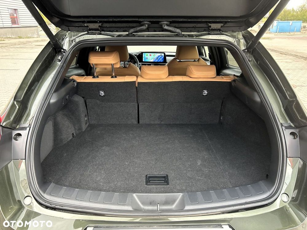 Lexus UX 250h GPF F Sport Design+ 2WD - 30