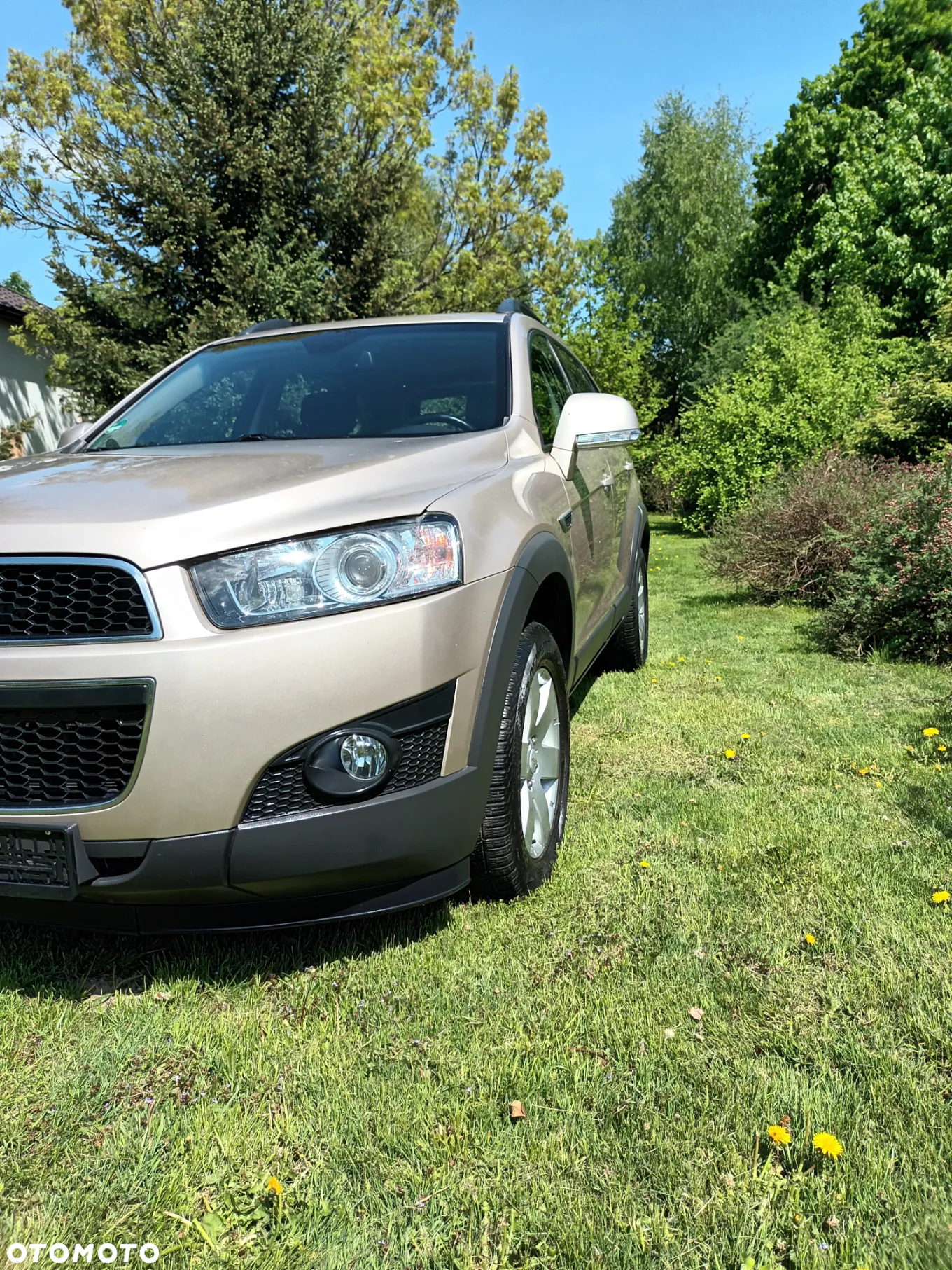 Chevrolet Captiva - 6