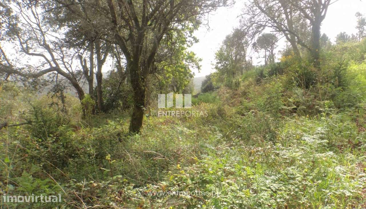 Ruína com terreno para venda, Azevedo, Caminha - Grande imagem: 5/9