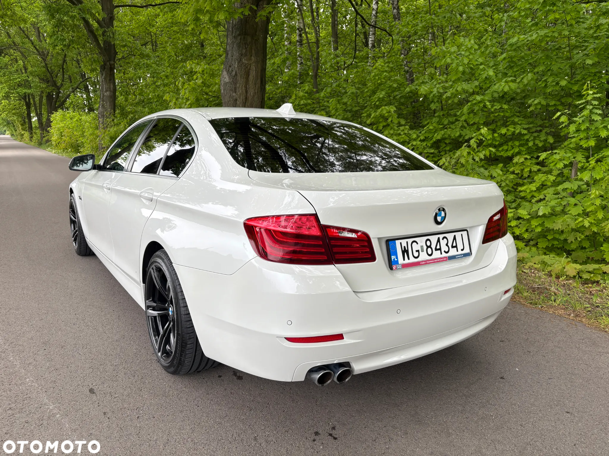 BMW Seria 5 520d - 17