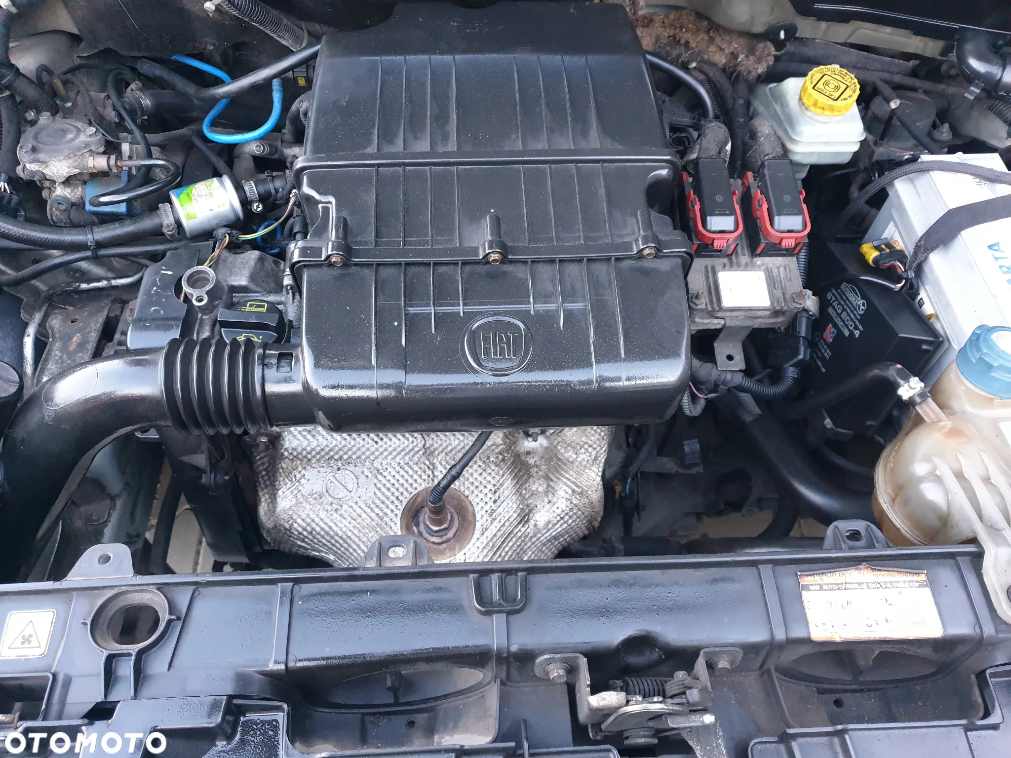 Fiat Punto 1.2 8V Classic - 10