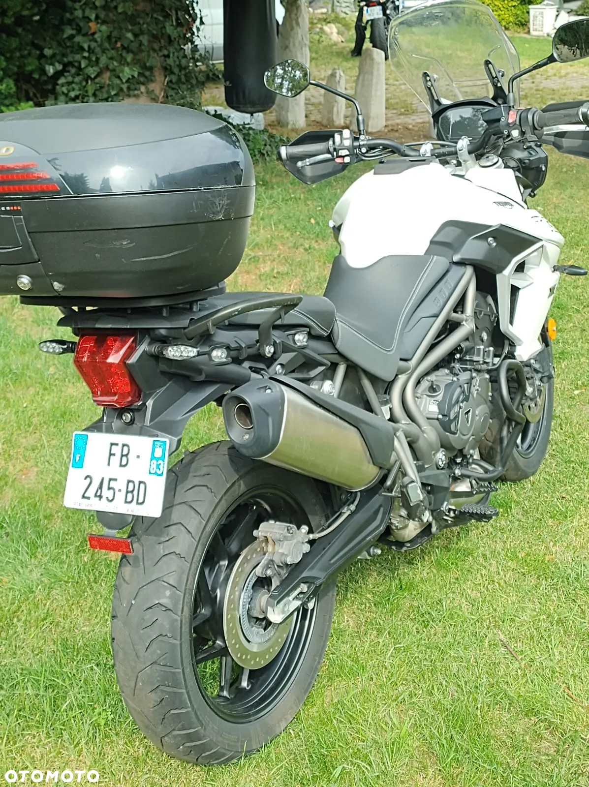 Suzuki DL - 10