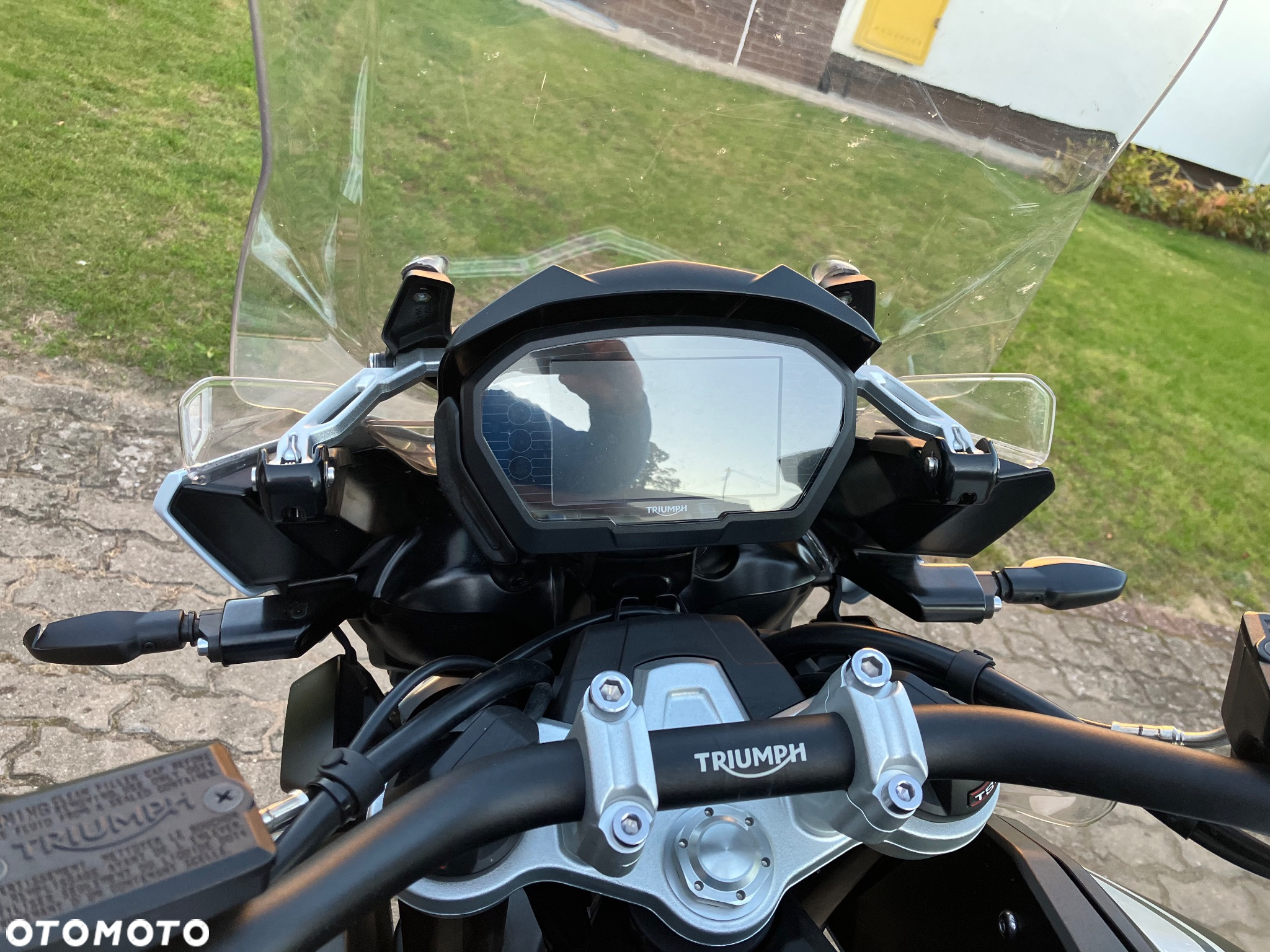 Triumph Tiger - 9