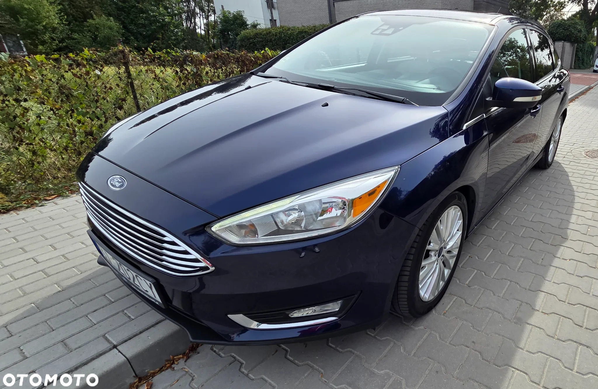 Ford Focus - 5