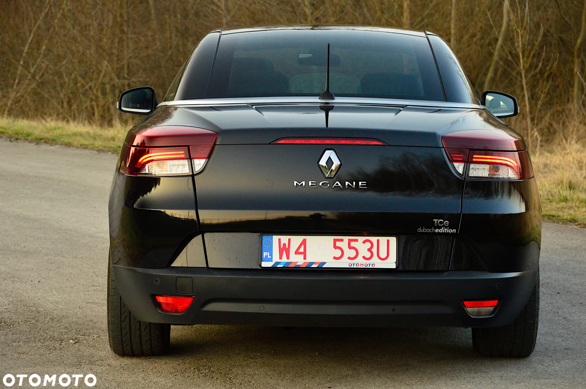 Renault Megane 1.3 TCe FAP Limited - 13