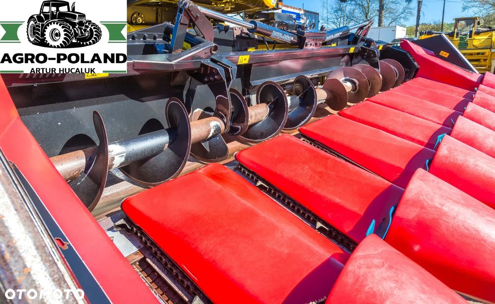 Geringhoff RD 800 / FB - 8x75 - 2003 ROK - 5